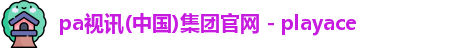 pa视讯(中国)集团官网 - playace